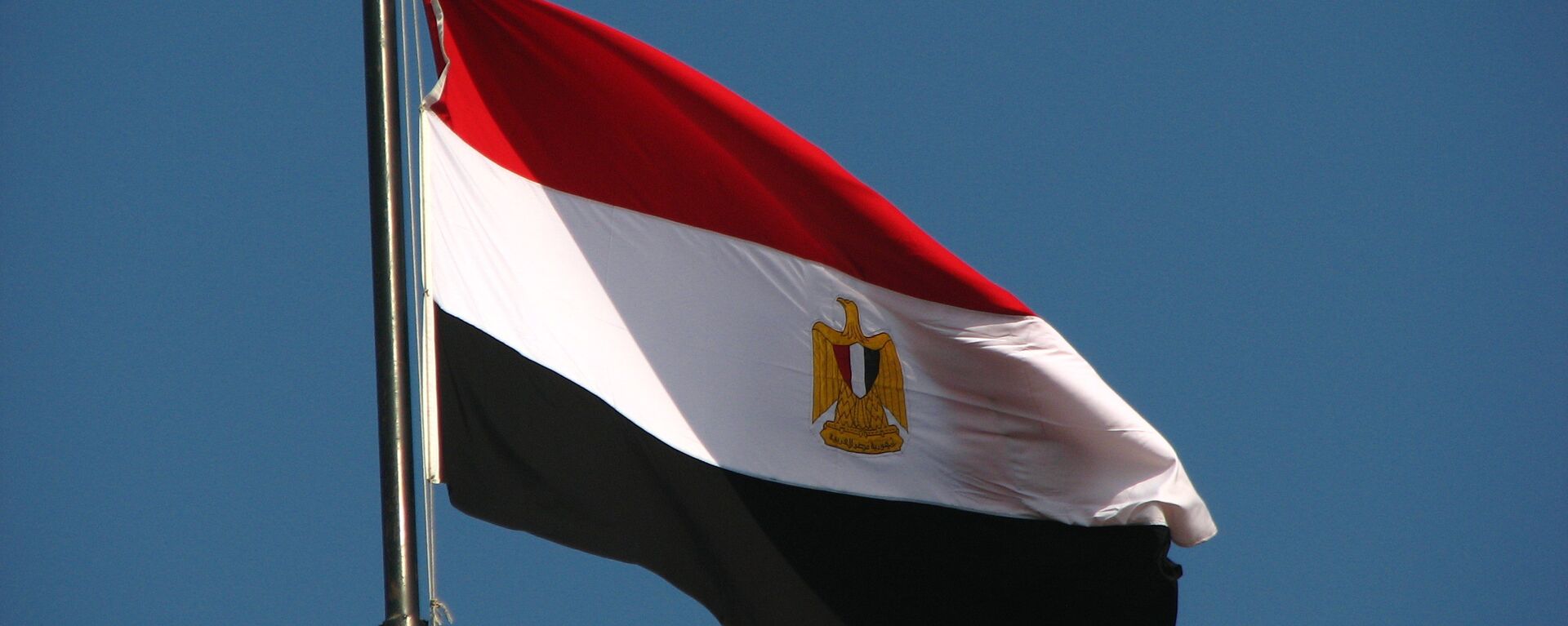 علم مصر - سبوتنيك عربي, 1920, 19.04.2024