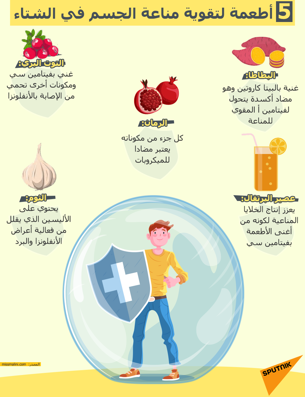 5 أطعمة لتقوية مناعة الجسم في الشتاء  - سبوتنيك عربي