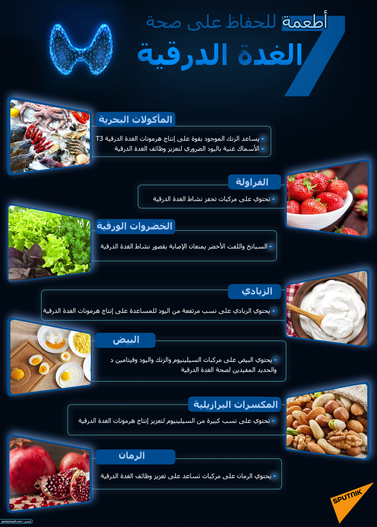7 أطعمة للحفاظ على صحة الغدة الدرقية - سبوتنيك عربي