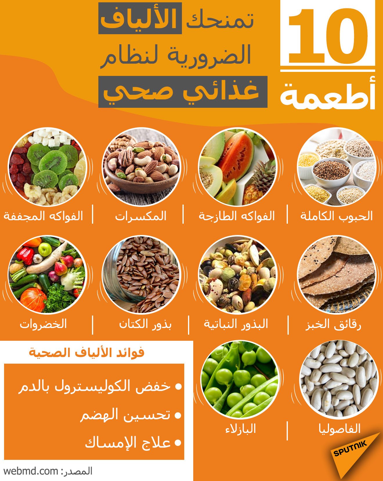 أطعمة تمنحك الألياف الضرورية لنظام غذائي صحي - سبوتنيك عربي