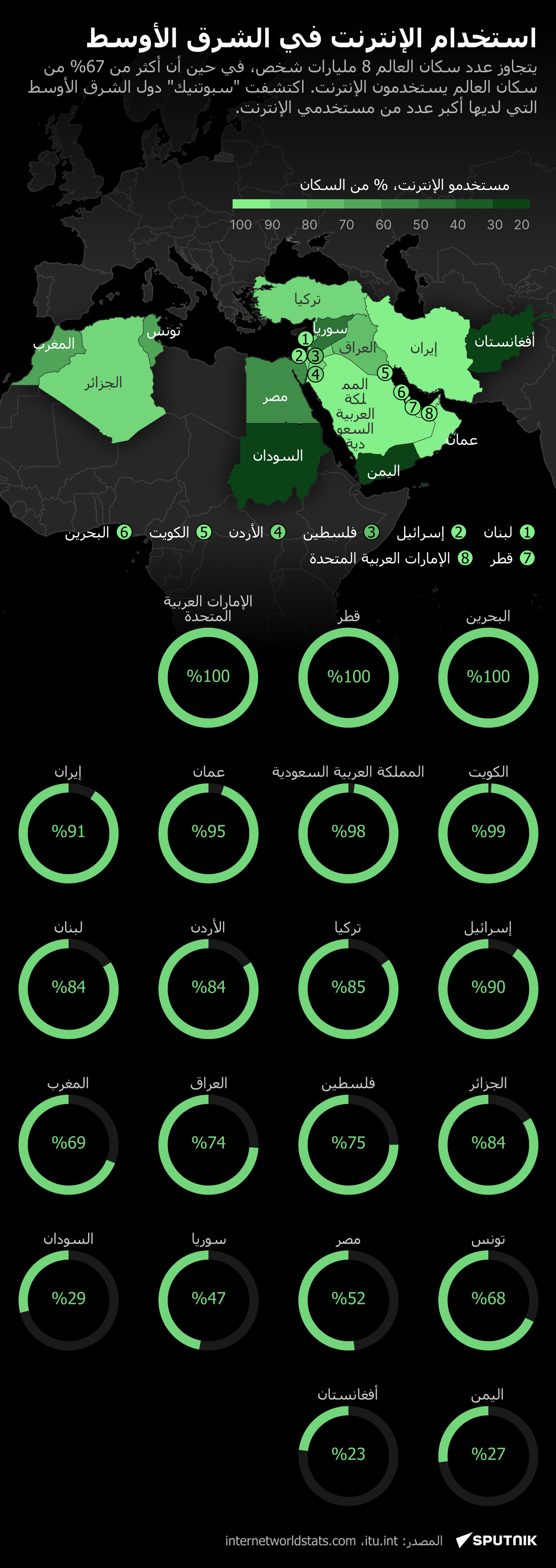 استخدام الإنترنت في الشرق الأوسط - سبوتنيك عربي