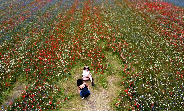 تُظهر هذه الصورة الجوية التي التقطت في 8 يوليو 2020 فتيات يلتقطن صورًا وسط حقول العدس المزهرة وزهور الخشخاش بالقرب من كاستيلوتشيو، وهي قرية صغيرة في منطقة أومبريا وسط إيطاليا. - سبوتنيك عربي