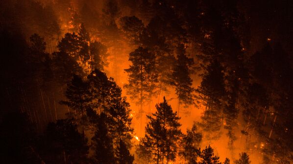 اشتعال الحرائق في غابات سيبيريا، إقليم كراسنويارسك، روسيا 17 يوليو 2020 - سبوتنيك عربي