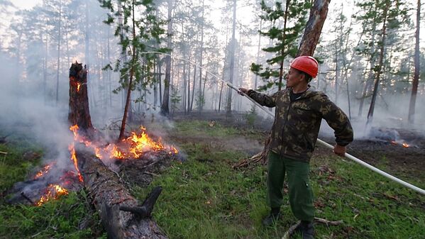 اشتعال الحرائق في غابات سيبيريا، موظف وكالة حماية الغابات في ياقوتيا، روسيا 10يوليو 2020 - سبوتنيك عربي