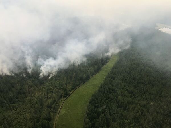 اشتعال الحرائق في غابات سيبيريا، ياقوتيا، روسيا 16 يوليو 2020 - سبوتنيك عربي