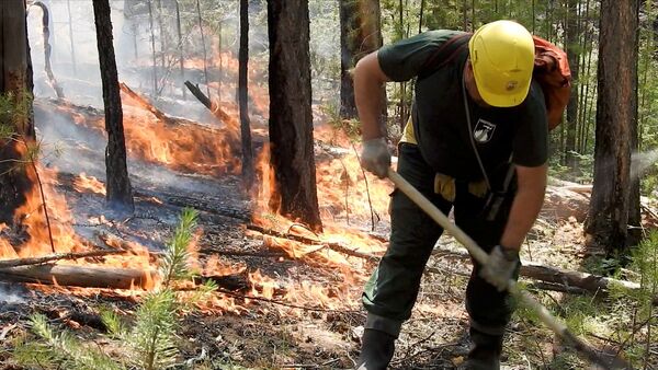 اشتعال الحرائق في غابات سيبيريا، موظف وكالة حماية الغابات في إقليم كراسنويارسك، روسيا 10يوليو 2020 - سبوتنيك عربي