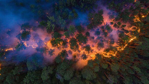 اشتعال الحرائق في غابات سيبيريا، إقليم كراسنويارسك، روسيا 17 يوليو 2020 - سبوتنيك عربي