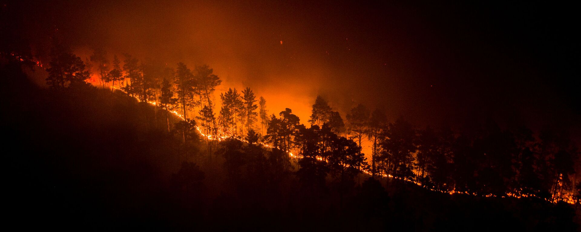 اشتعال الحرائق في غابات سيبيريا، إقليم كراسنويارسك، روسيا 17 يوليو 2020 - سبوتنيك عربي, 1920, 28.07.2020