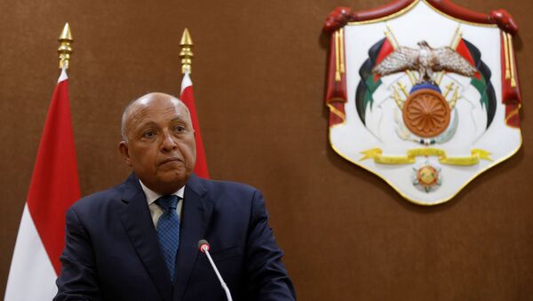  وزير الخارجية المصري سامح شكري في عمان، الأردن 19 يوليو 2020 - سبوتنيك عربي
