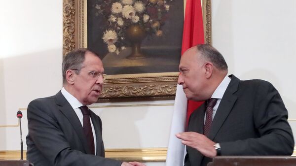 وزير الخارجية الروسي  سيرغي لافروف، مع نظيره المصري، سامح شكري - سبوتنيك عربي