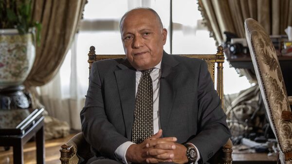 وزير الخارجية المصري سامح شكري - سبوتنيك عربي