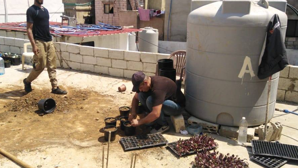 تدوير النفايات وتحويلها إلى سماد عضوي في مخيم برج البراجنة للاجئين الفلسطينيين  - سبوتنيك عربي