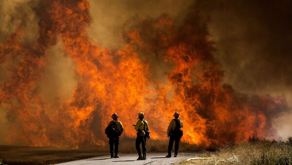 اشتعال حرائق الغابات في كاليفورنيا، الولايات المتحدة 2 أغسطس 2020 - سبوتنيك عربي
