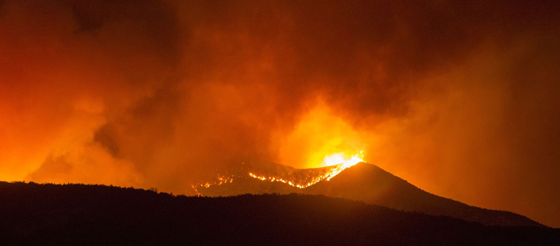اشتعال حرائق الغابات في كاليفورنيا، الولايات المتحدة 2 أغسطس 2020 - سبوتنيك عربي, 1920, 10.08.2020