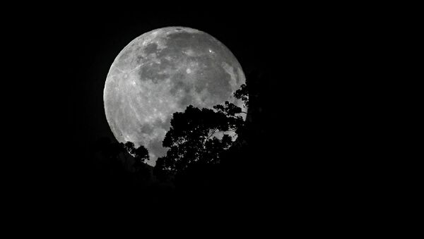 اكتمال بدر القمر في كولومبيا، 3 أغسطس 2020 - سبوتنيك عربي