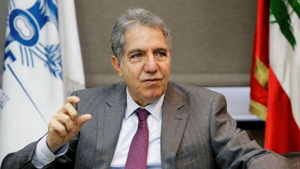 وزير المال اللبناني غازي وزني - سبوتنيك عربي