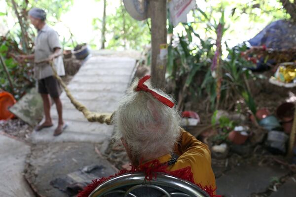 رجل فيتنامي نغوين فان شين البالغ من العمر 92 عاما، لم يقم بقص شعر منذ أكثر من 70 عاما، 21 أغطسطس/ آب 2020 - سبوتنيك عربي