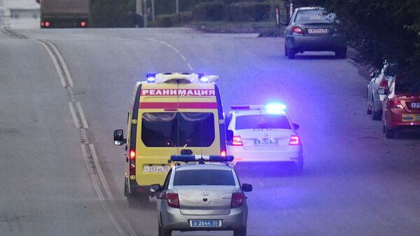 سيارة إسعاف تنقل المعارض الروسي ألكسي نافالني من مشفى في أومسك الروسية إلى برلين في ألمانيا، أغسطس 2020 - سبوتنيك عربي