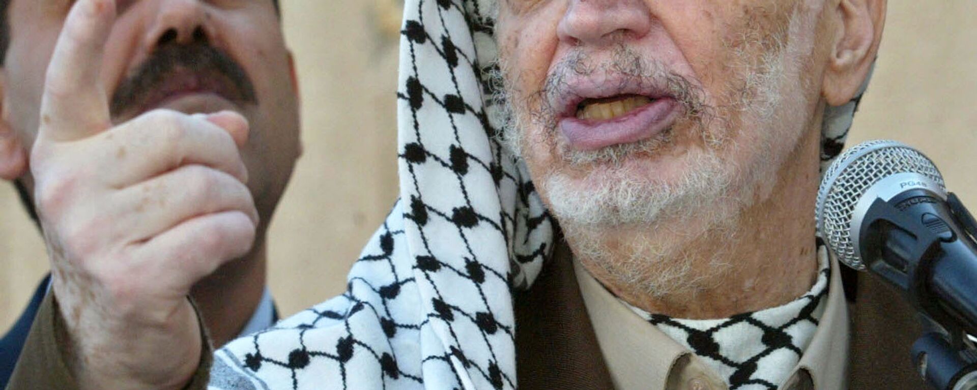 الرئيس الفلسطيني الراحل ياسر عرفات - سبوتنيك عربي, 1920, 16.02.2022