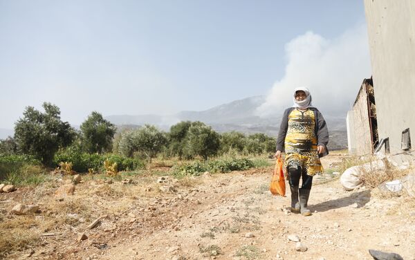 حريق غابات الساحل السوري، صلنفة 2020 - سبوتنيك عربي