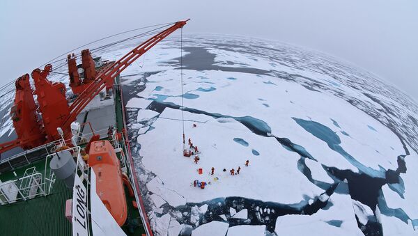 جليد القطب الشمالي من متن كاسحة الجليد الصينية Xue Long - سبوتنيك عربي