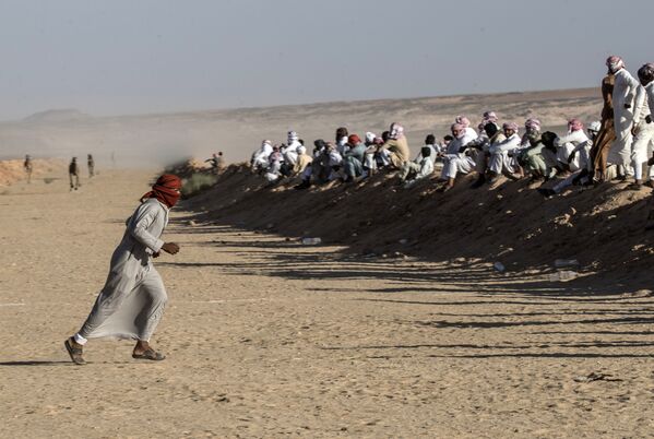 سباق الجمال في صحراء سيناء، جنوب مصر 12 سبتمبر 2020 - سبوتنيك عربي