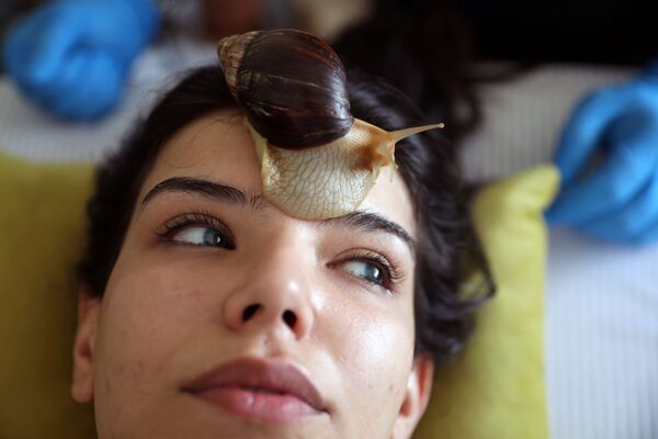 نورما رشية، 22 عاماً، خلال جلسة تدليك الوجه بواسطة الحلزونات البرية الأفريقية العملاقة، التي تعتبر مصدراً لتعزيز مادة الكولاجين في الجلد، في مركز تجميل في عمان، الأردن، 16 سبتمبر / أيلول 2020 - سبوتنيك عربي