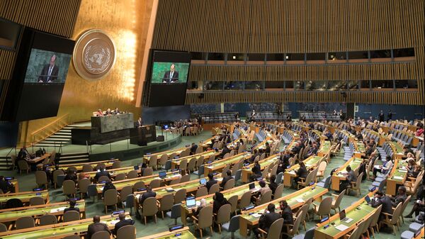 الجمعية العامة للأمم المتحدة - سبوتنيك عربي