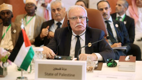 وزير الخارجية الفلسطيني رياض المالكي، صورة أرشيفية  2019 - سبوتنيك عربي