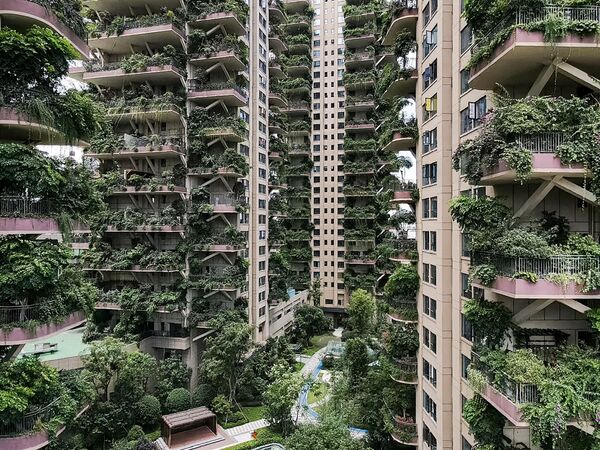 مشروع إسكان «حديقة غابات مدينة تشنغدو»، الصين 3 أغسطس/ آب 2020 - سبوتنيك عربي