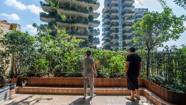 مشروع إسكان «حديقة غابات مدينة تشنغدو»، الصين 3 أغسطس/ آب 2020 - سبوتنيك عربي