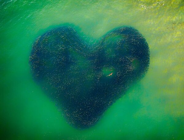 صورة بعنوان قلب حب الطبيعة، للمصور جيم بيكوت، الفائزة في مسابقة  جوائز التصوير بواسطة الدرون لعام 2020 - سبوتنيك عربي