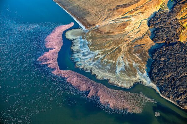 صورة بعنوان طائر الفلامينغو على بحيرة لوجيبي، للمصور مارتن هارفي، الفائزة بالمركز الثاني في فئة الطبيعة من مسابقة جوائز التصوير بواسطة الدرون لعام 2020 - سبوتنيك عربي