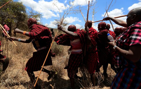 رجال قبيلة ماساي يسيرون على درب أكل اللحوم، ليلتحم هناك دربين: درب الكبار إلبامو (Ilpaamu) والشباب إلايتي (Ilaitete)، أثناء احتفالات أولنغيشير (Olng'esherr) عند تلال ماباراشا، بالقرب من كاجيادو في كينيا، 23 سبتمبر 2020 - سبوتنيك عربي