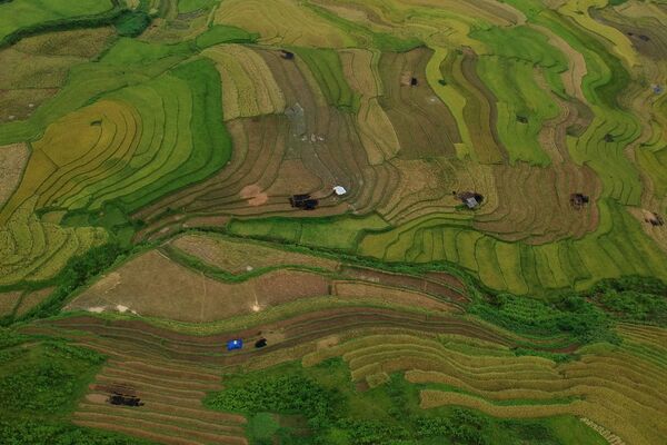 مدرجات الأرز مو تسانغ تشاي، فيتنام 18 سبتمبر 2020 - سبوتنيك عربي