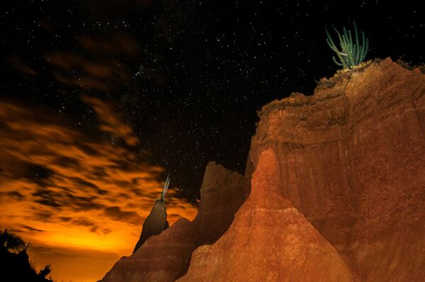 سماء الليل المرصعة بالنجوم فوق صحراء تاتاكوا في كولومبيا - سبوتنيك عربي