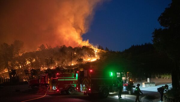حرائق الغابات في مقاطعة نابا فالي بشمال ولاية كاليفورنيا الأمريكية - سبوتنيك عربي