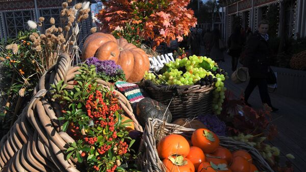 مهرجان هدايا الخريف - سبوتنيك عربي