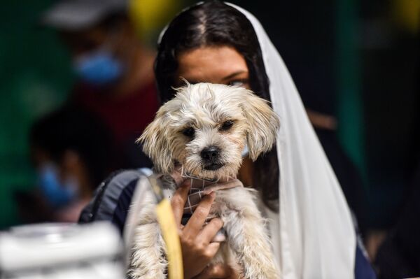 فتاة برفقة كلبها في مقهى Barking Lot في مدينة الخبر، المملكة العربية السعودية 25 سبتمبر 2020 - سبوتنيك عربي