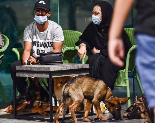 زوار برفقة كلابهم في مقهى Barking Lot في مدينة الخبر، المملكة العربية السعودية 25 سبتمبر 2020 - سبوتنيك عربي