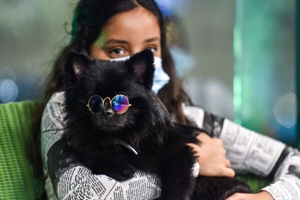 Девушка со своей собакой в кафе Barking Lot в Саудовской Аравии - سبوتنيك عربي