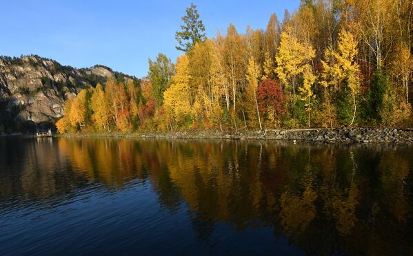 أشجار الخريف على ضفة بحيرة في إقليم كراسنويارسكي كراي، روسيا 21سبتمبر 2020 - سبوتنيك عربي