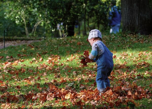طفل يجمع أواق الخريف في الحديقة العامة في بلدة غاتشينا، إقليم لينينغراد، روسيا 27 سبتمبر 2020 - سبوتنيك عربي
