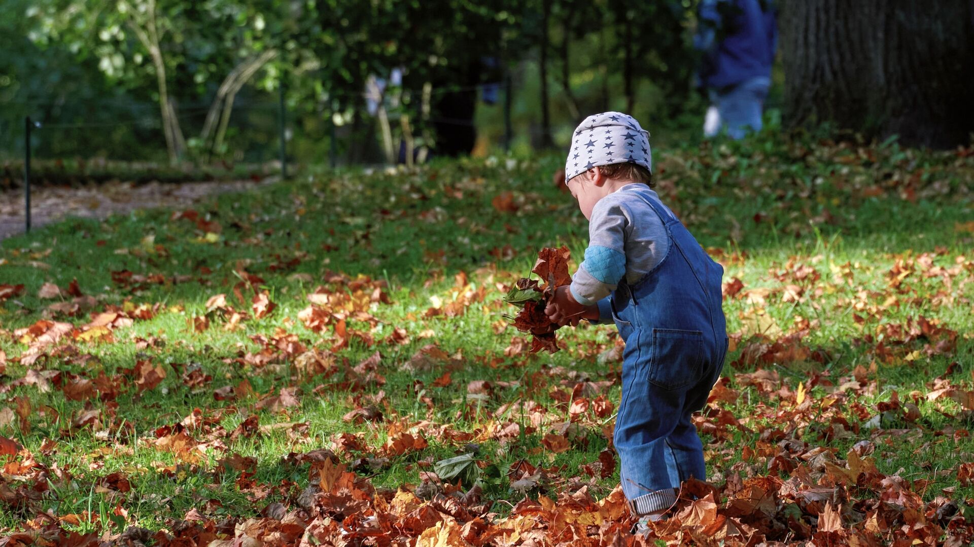 طفل يجمع أواق الخريف في الحديقة العامة في بلدة غاتشينا، إقليم لينينغراد، روسيا 27 سبتمبر 2020 - سبوتنيك عربي, 1920, 19.10.2021