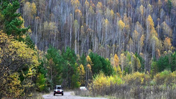 مركبة رباعية الدفع في طريق وسط التايغا السيبيرية (غابة) بالقرب من إقليم كراسنويارسك، روسيا 27 سبتمبر 2020 - سبوتنيك عربي