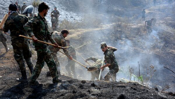 قوات الجيش السوري تساعد طواقم إطفاء الحريق في إخماد حرائق اللاذقية، سوريا 10 أكتوبر 2020 - سبوتنيك عربي