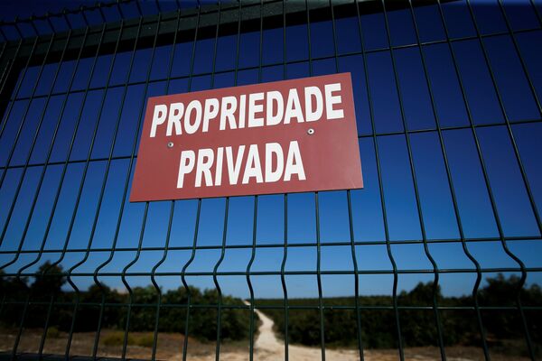 مزرعة أفوكادو، في منطقة ألغارفي (أو بالعربية: الغرب) بالقرب من لاغوس، البرتغال 5 أكتوبر 2020 - سبوتنيك عربي