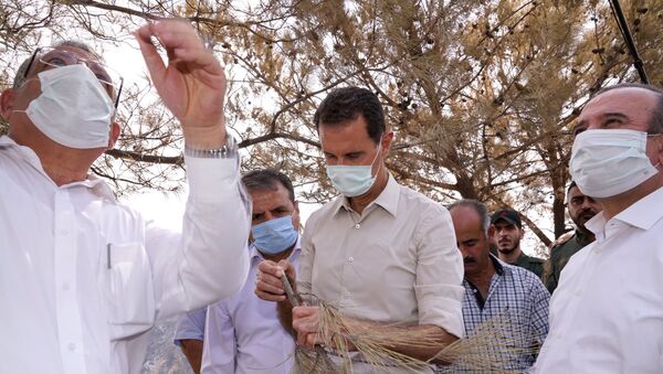  الرئيس بشار الأسد يزور منطقة كفردبيل، بريف جبلة، ضمن المناطق التي تعرضت للحرائق، سوريا 13 أكتوبر 2020 - سبوتنيك عربي