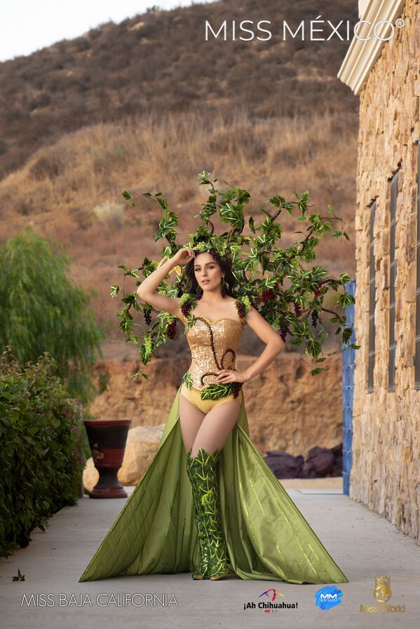 المشاركة في مسابقة ملكة جمال المكسيك 2020، دانييلا بيدروزا ممثلة عن ولاية باجا كاليفورنيا - سبوتنيك عربي
