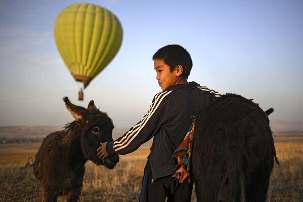 فتى وحماره خارج مدينة بيشكيك، قرغيزستان 16 أكتوبر 2020 - سبوتنيك عربي